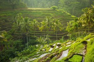 Ubud weather 2025